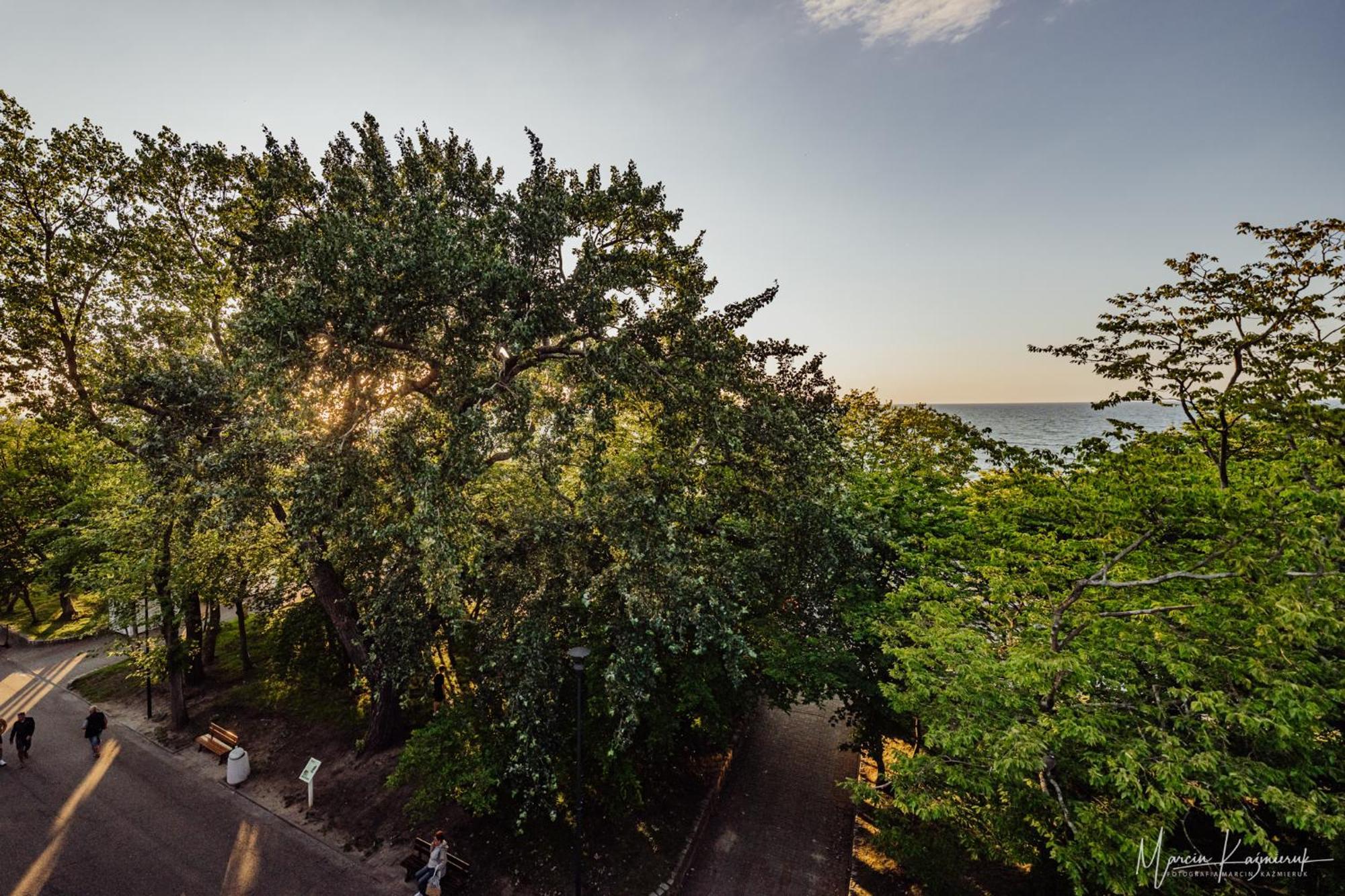 Cristal Bed & Breakfast Ustka Bagian luar foto